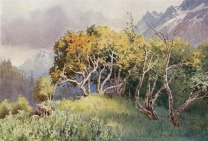 Au-dessus du terrain de camping, Sonamarg, vallée de Sind - Unbekannt Unbekannt